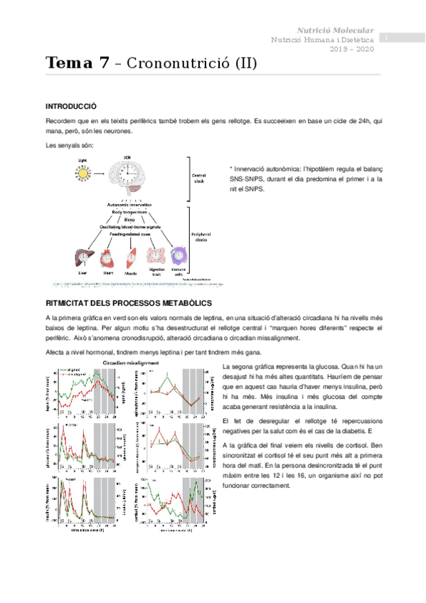 Miniatura del documento Tema-7-Cronobiologia-i-nutricio-II.docx