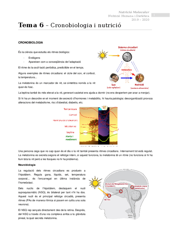 Miniatura del documento Tema-6-Cronobiologia-i-nutricio.docx