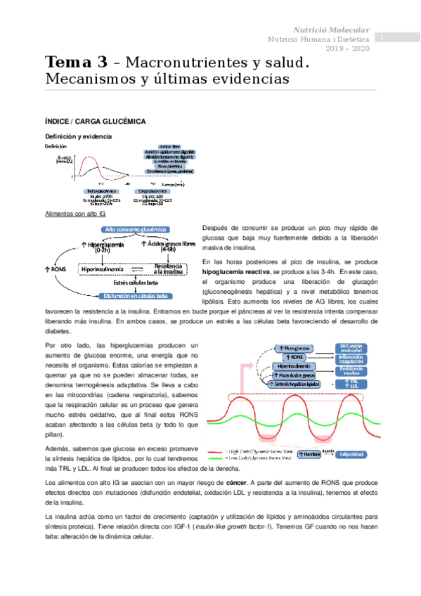 Miniatura del documento Tema-3-Macronutrientes-y-salud.docx