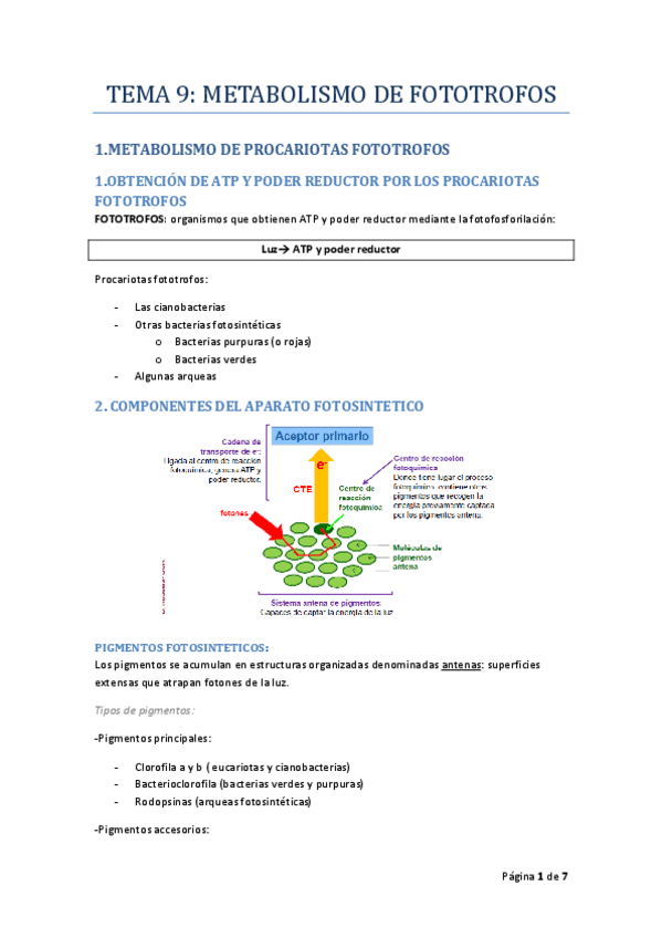 Miniatura del documento TEMA_09_MICRO_I_RODELAS.pdf