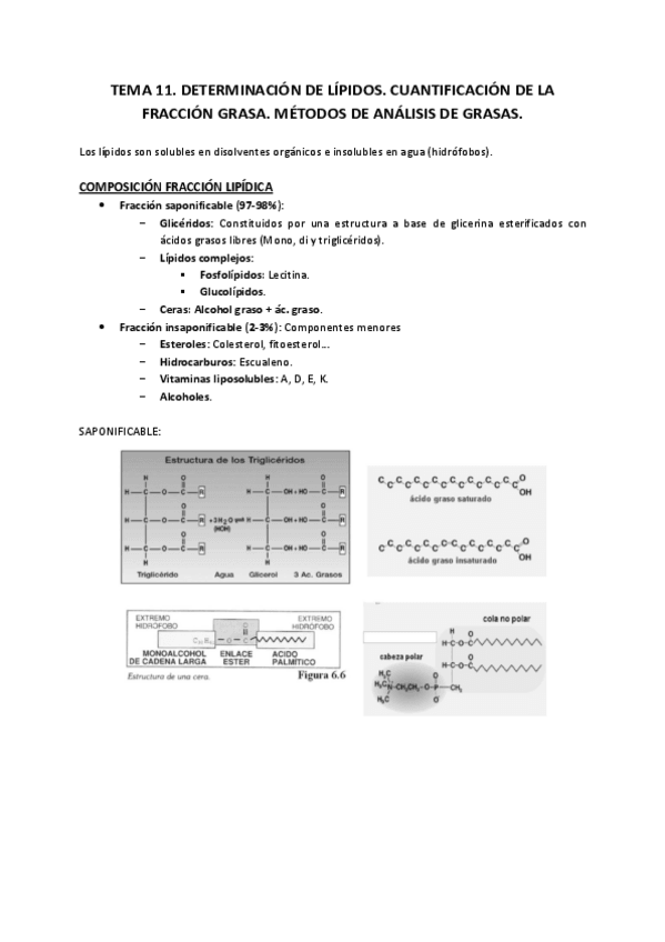 Miniatura del documento Tema 11.pdf