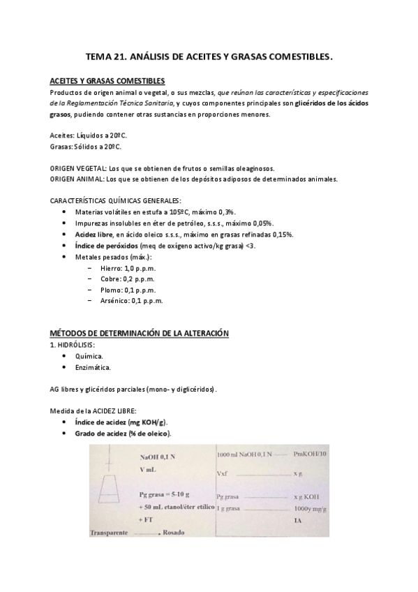 Miniatura del documento Tema 21.pdf