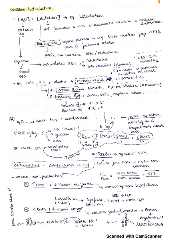 Miniatura del documento pilar-wuolah.pdf