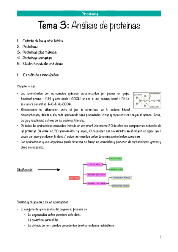 Miniatura del documento TEMA 3: ANÁLISIS DE PROTEÍNAS