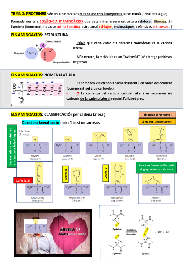 Miniatura del documento Tema-2-i-3-BioMol.pdf