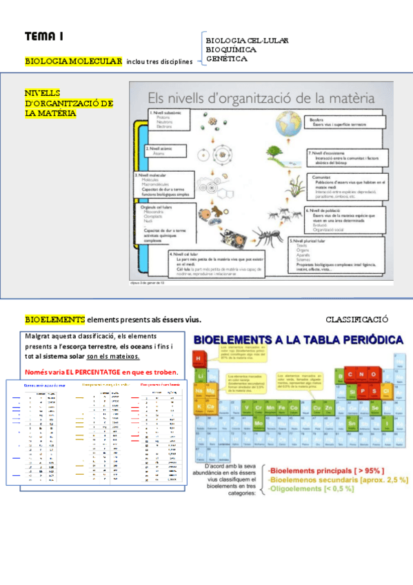 Miniatura del documento Tema-1-BioMol.pdf