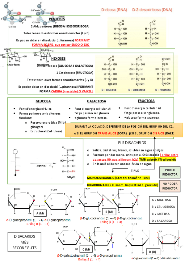 Miniatura del documento Tema-5.pdf