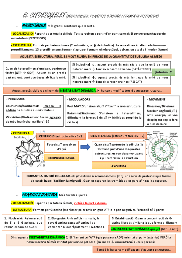 Miniatura del documento 2.pdf