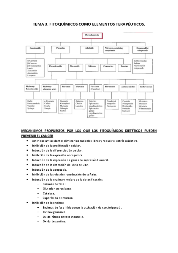 Miniatura del documento Tema 3.pdf