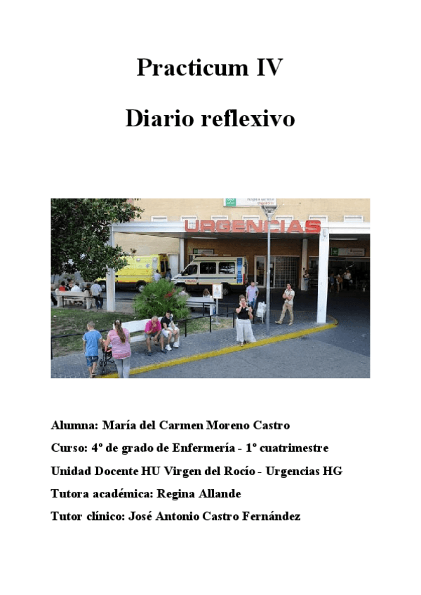 Miniatura del documento Diario-Reflexivo-Practicum-IV.pdf