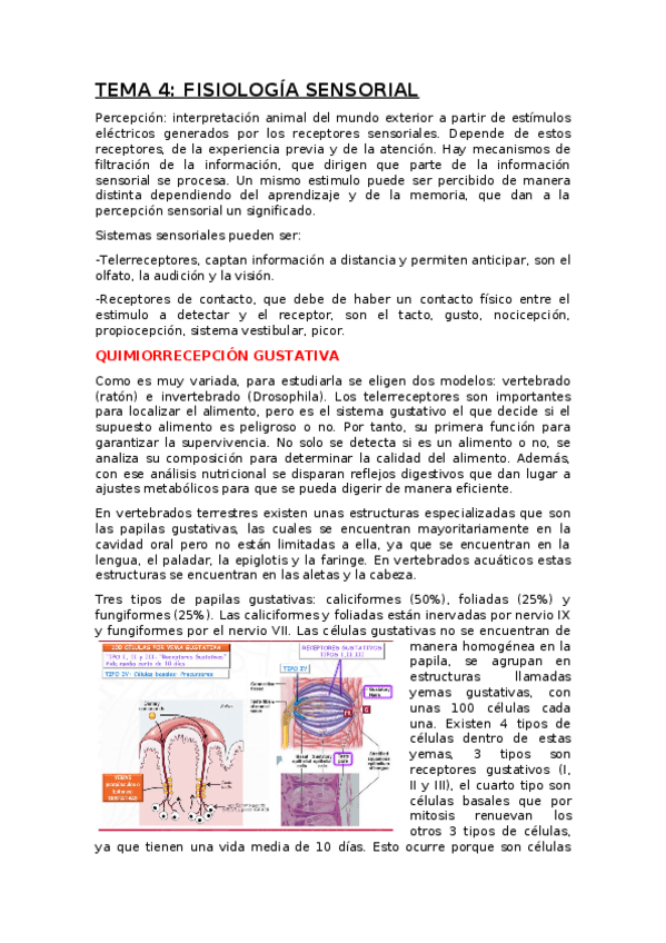 Miniatura del documento TEMA-4.docx