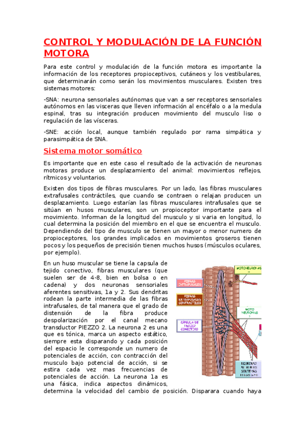 Miniatura del documento TEMA-5.docx