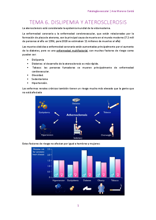 Miniatura del documento 6.pdf