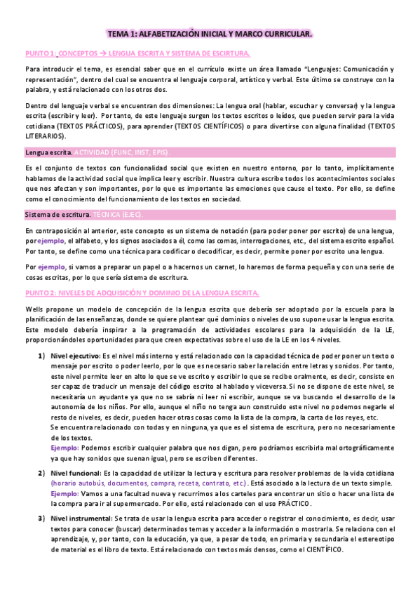 Miniatura del documento tema-1-alfabetizacion-inicial-y-marco-curricular.pdf