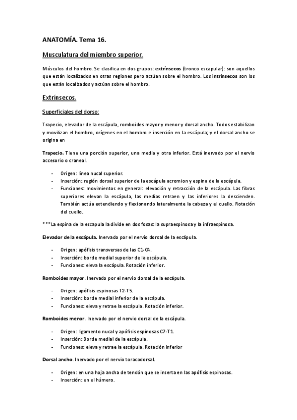 Miniatura del documento ANATOMÍA. Tema 16..pdf