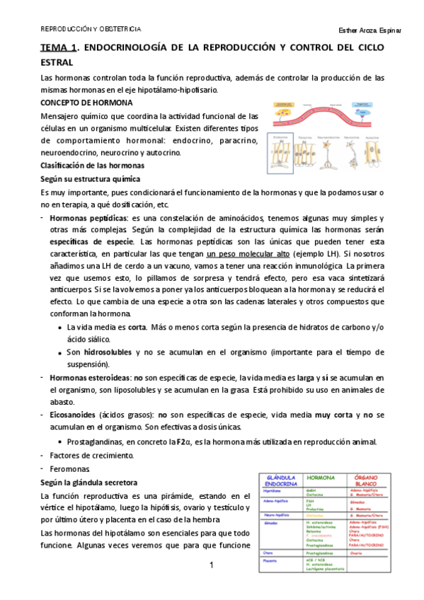Miniatura del documento TEMA-1.pdf