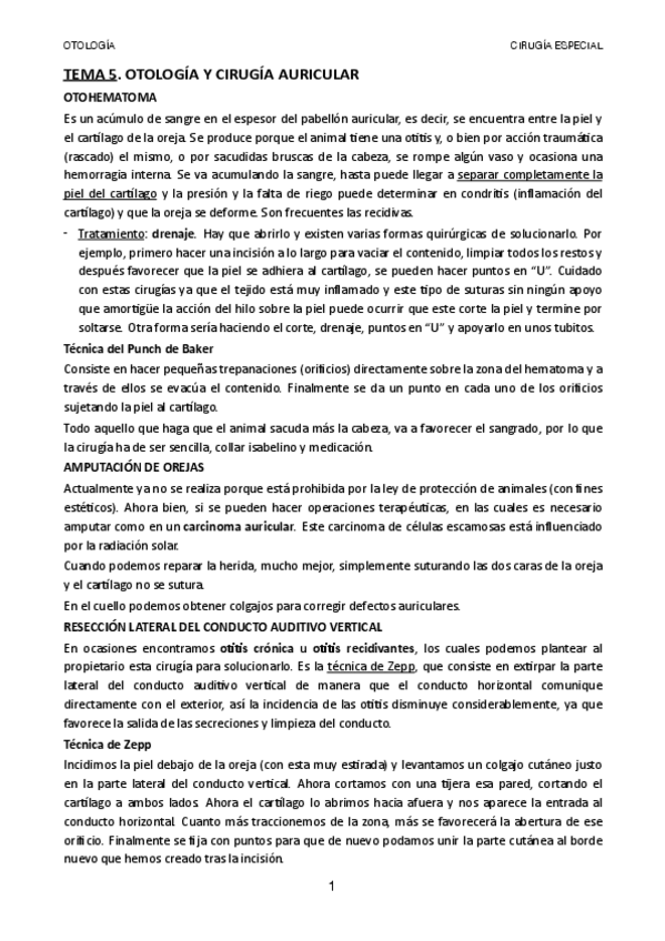 Miniatura del documento TEMA-5.pdf
