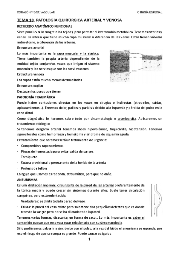 Miniatura del documento TEMA-10.pdf