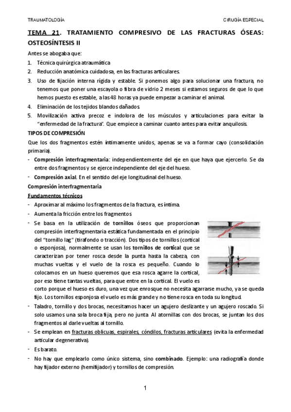 Miniatura del documento TEMA-21.pdf