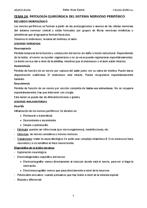 Miniatura del documento TEMA-24.pdf