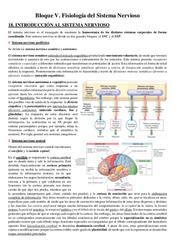 Miniatura del documento 1er-PARCIAL-NEUROFISIO.pdf