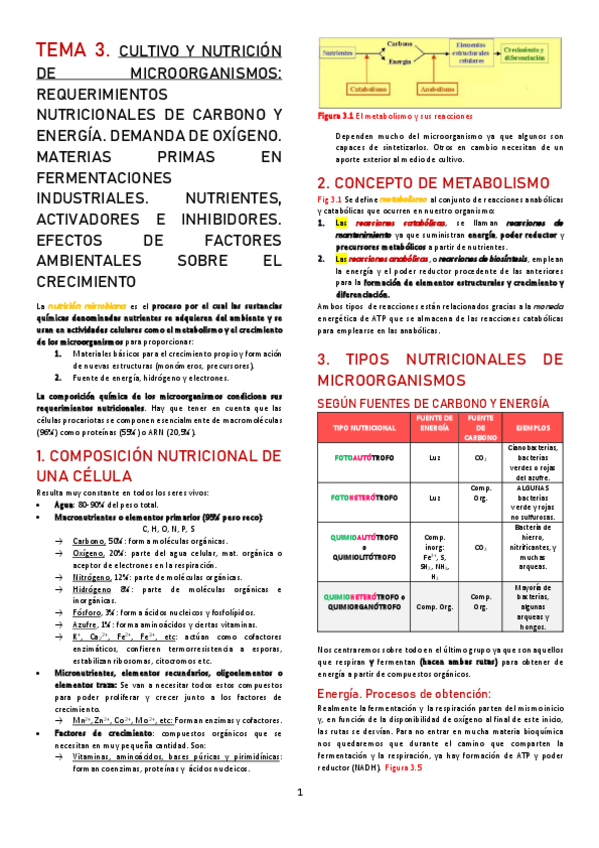 Miniatura del documento TEMA-3.pdf
