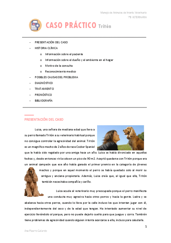 Miniatura del documento CASO-PRACTICO-Triton.pdf