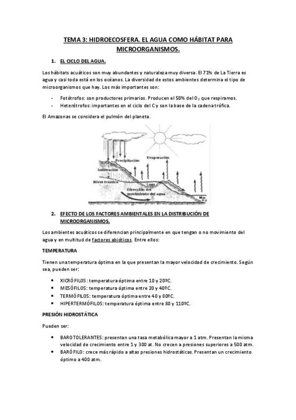 Miniatura del documento TEMA-3-MICRO.pdf