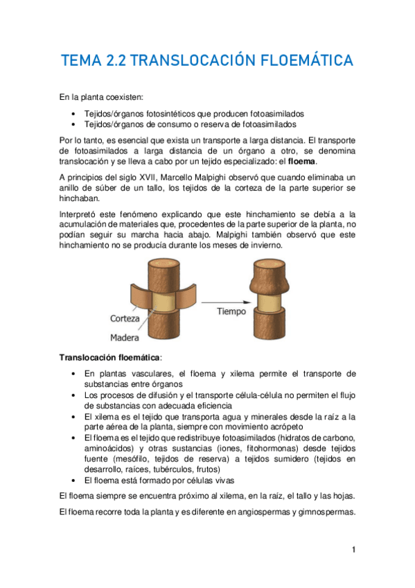 Miniatura del documento TEMA-2.pdf
