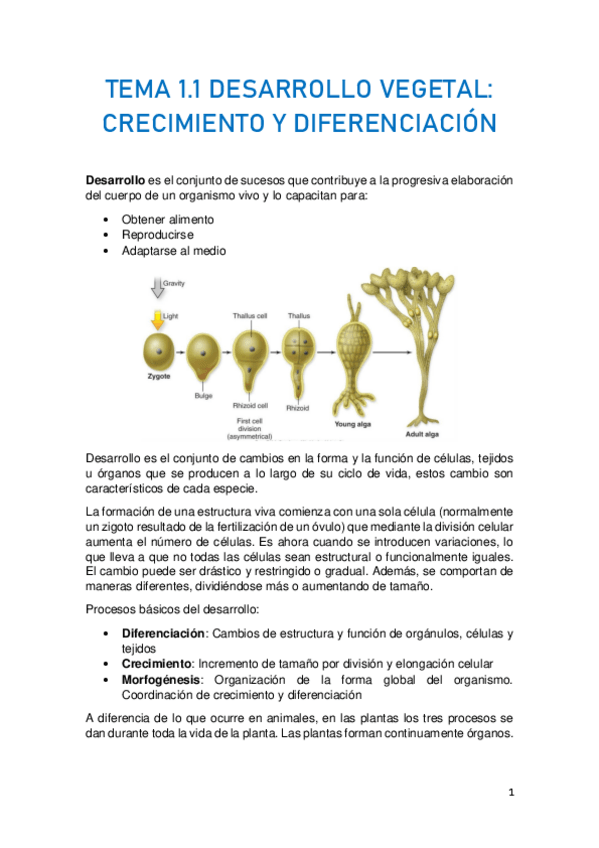 Miniatura del documento TEMA-1.pdf