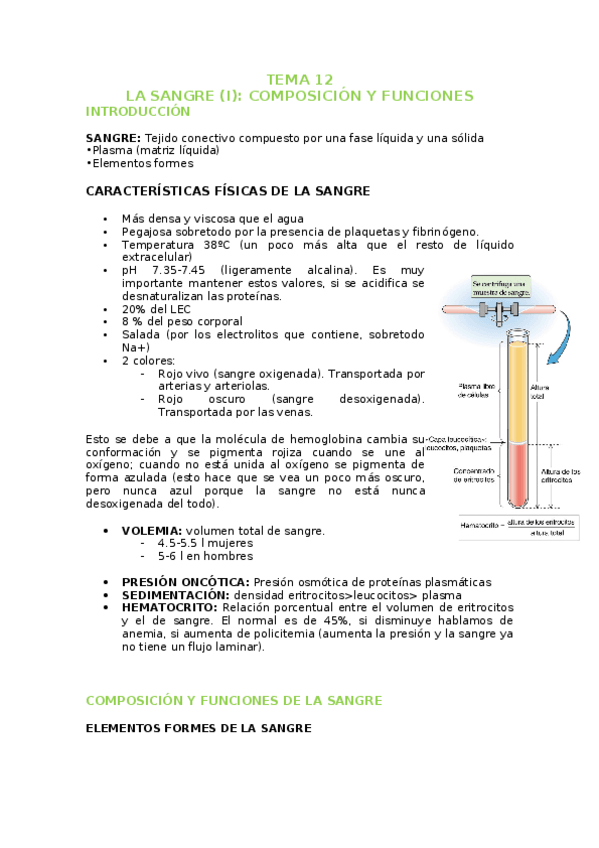 Miniatura del documento TEMA-12-SANGRE-1.docx