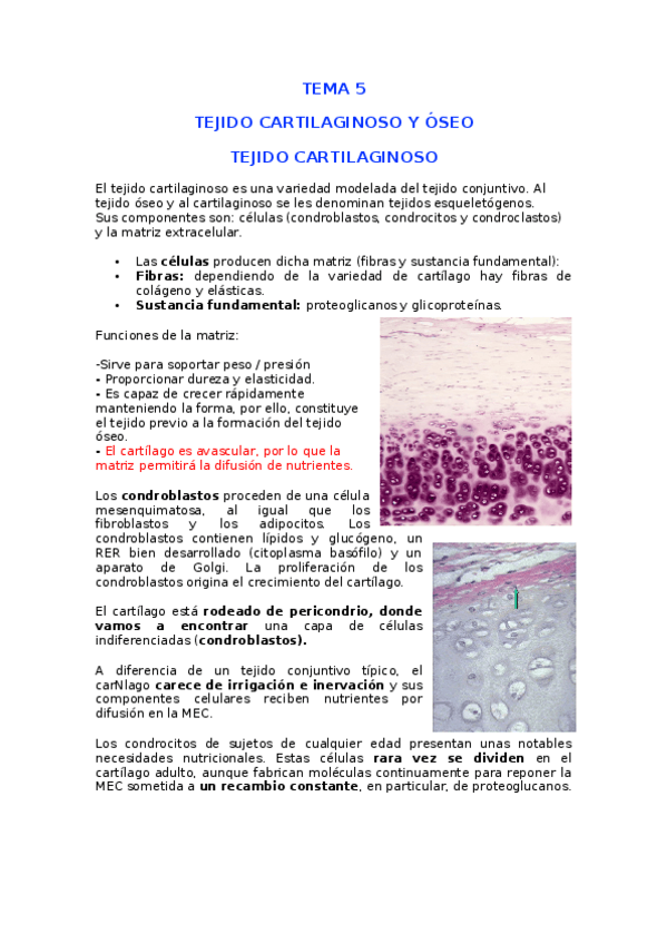 Miniatura del documento Tema-5-CARTILAGO.docx