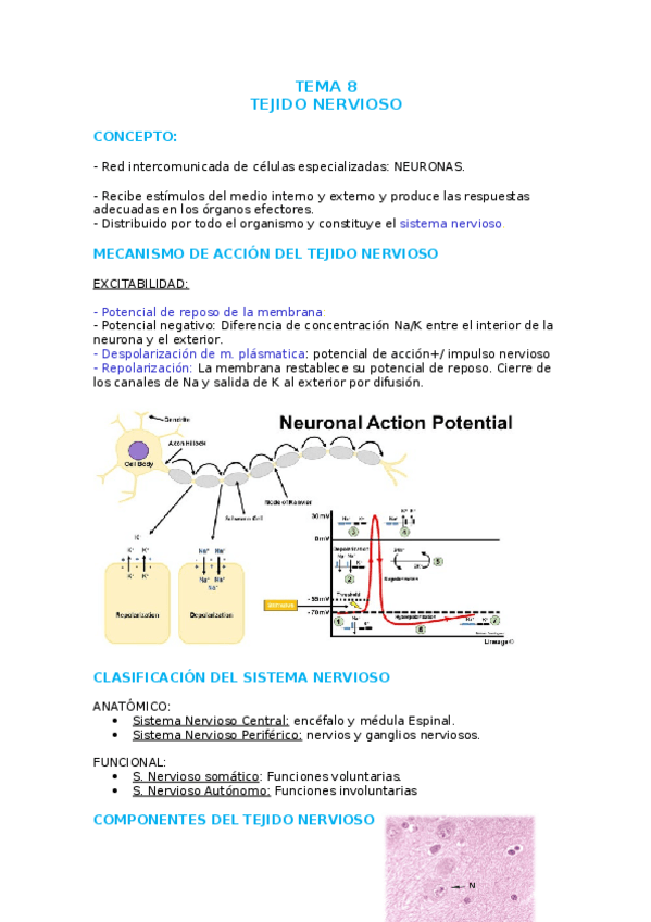 Miniatura del documento TEMA-8.docx