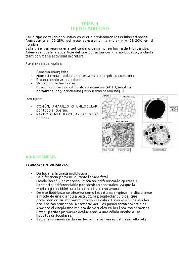 Miniatura del documento TEMA-4-TEJIDO-ADIPOSO.docx