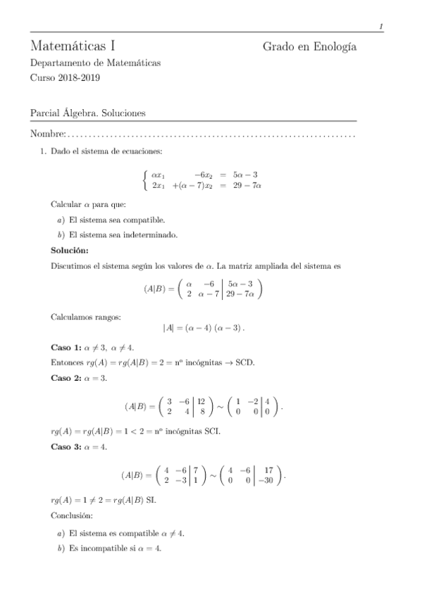 Miniatura del documento parcialalgebra19soluciones.pdf