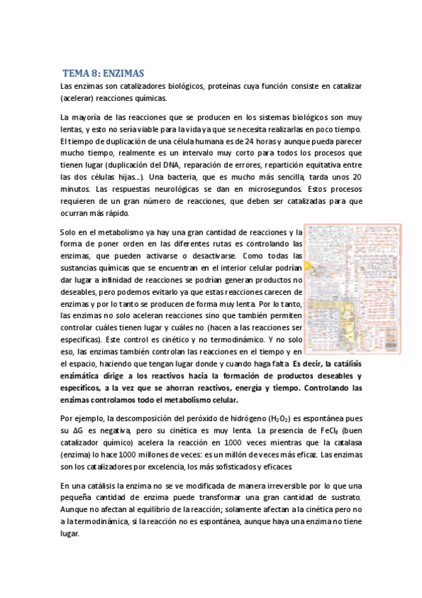Miniatura del documento TEMA-8.pdf