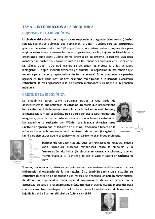 Miniatura del documento TEMA-1.pdf
