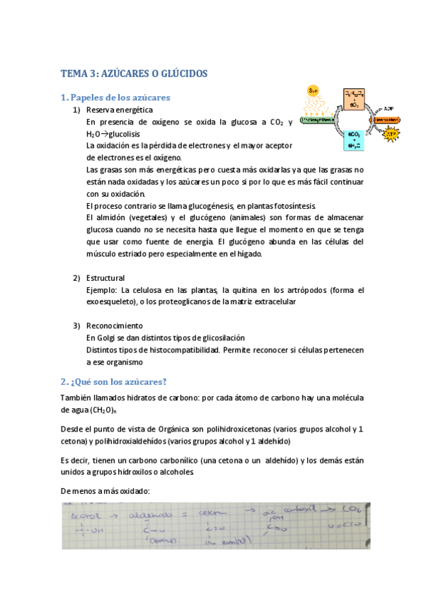 Miniatura del documento TEMA-3.pdf