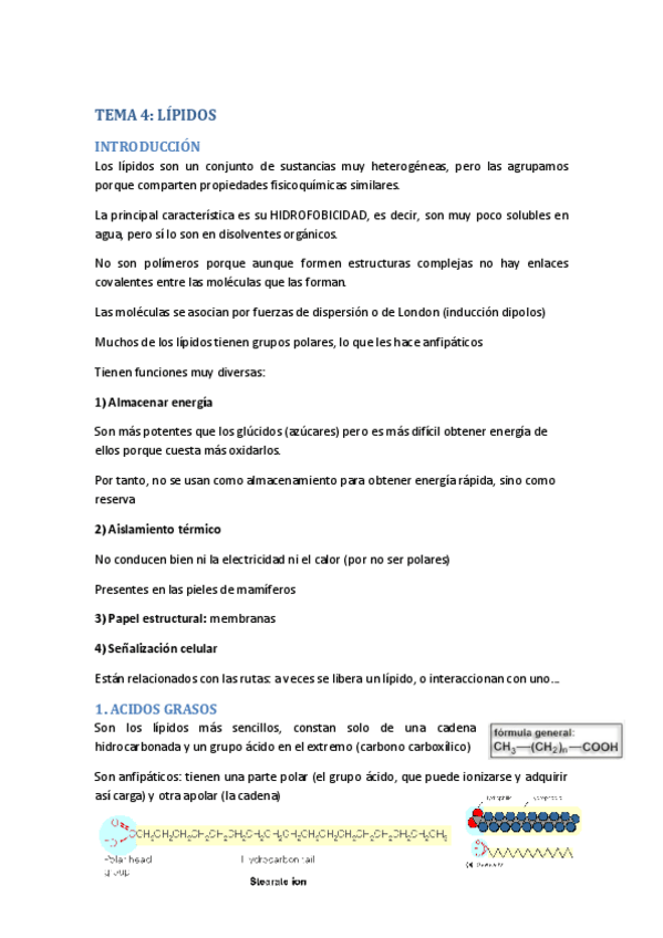Miniatura del documento TEMA-4.pdf