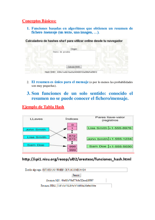 Miniatura del documento Anexo-Resumen-Funciones-HASH.pdf
