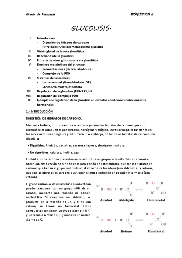 Miniatura del documento BQII.Glucolisis.pdf