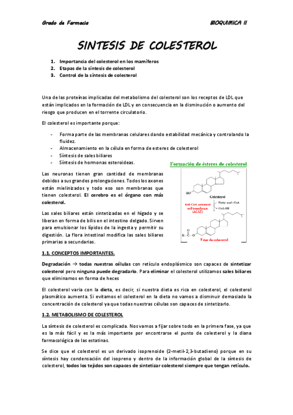 Miniatura del documento BQ II. tema 13.pdf