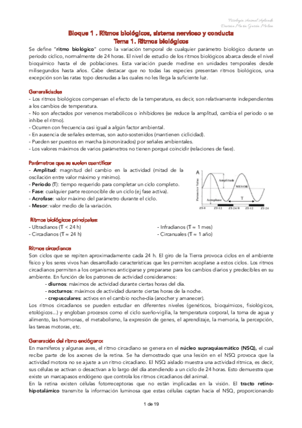 Miniatura del documento FAAP-RITMOS-Y-CONDUCTA.pdf