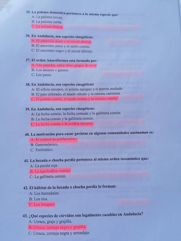 Miniatura del documento 5.jpg