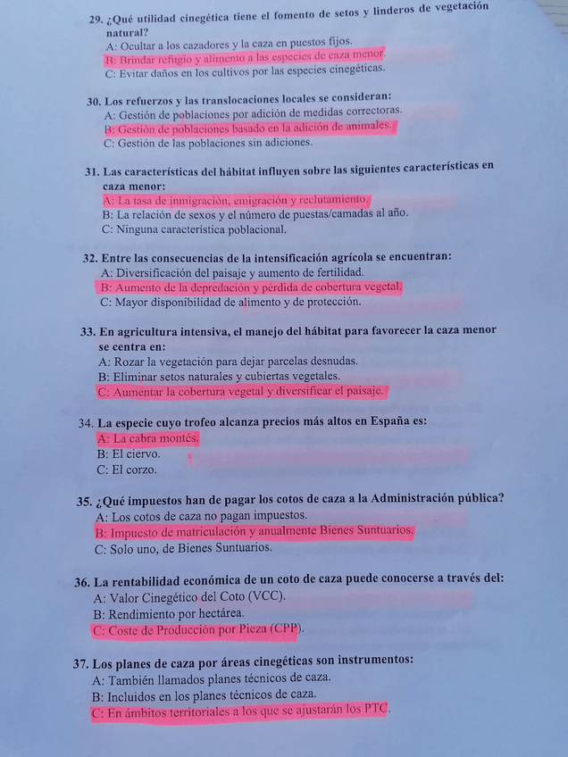 Miniatura del documento 16.jpg