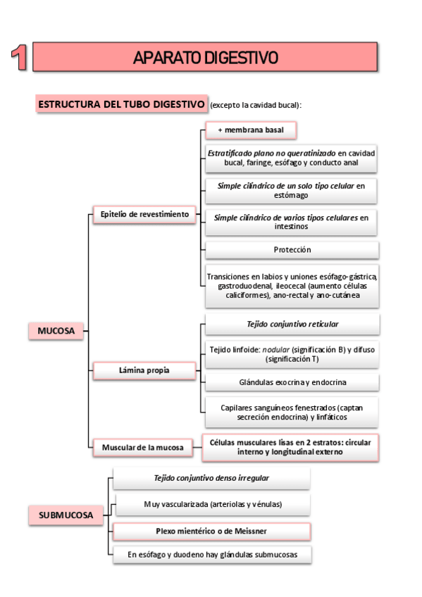 Miniatura del documento histo-2-digestivo.pdf