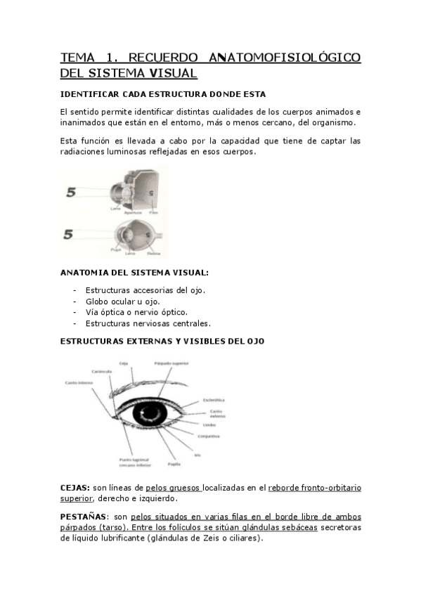 Miniatura del documento TEMA-1.pdf