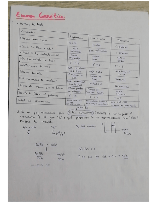 Miniatura del documento Examen-Genetica-Diciembre.pdf