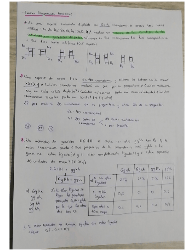 Miniatura del documento Examen-Diciembre-Genetica.pdf