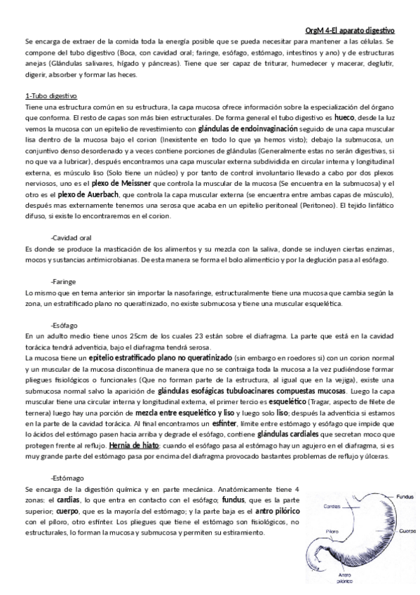 Miniatura del documento Tema_4-_Aparato_digestivo.pdf
